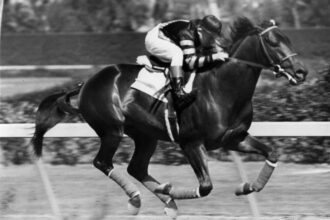 War Admiral